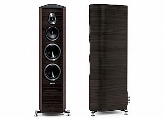 ��� ������� ������� SONETTO V  SONUS FABER �����!