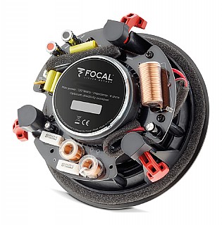100ICW8 ����� ���� ���� ����� �� ����, ������ ����� FOCAL ����