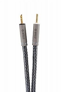 ��� ������� Ansuz Speakz D-TC 3