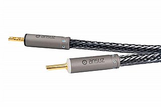��� ������� Ansuz Speakz D-TC 3