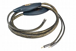 ��� ������� Ansuz Speakz D-TC Gold Signature