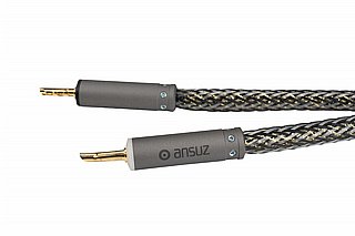 ��� ������� Ansuz Speakz D-TC Gold Signature