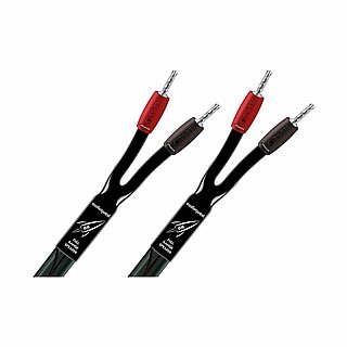 ��� ����� AudioQuest Rocket 88 ����� 1 ���