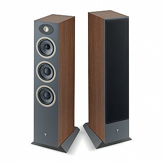 ������� ������� Focal Theva N2