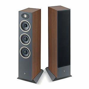 ������� ������� Focal Theva N2