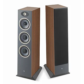 ������� ������� Focal Theva N3