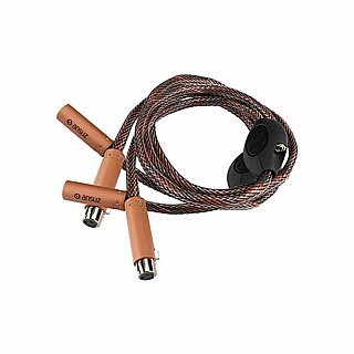 ��� ���������� Ansuz Signalz D3 XLR