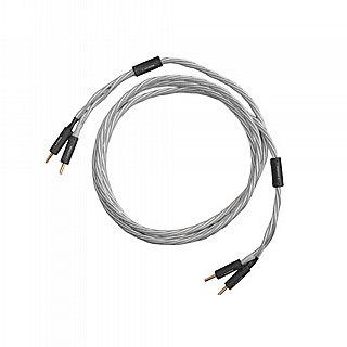 ���� ������� Axxess Speaker Cable