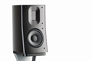 ������� ������ Raidho D1.1 ���� ������ �������.