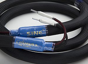 ��� ����� Coliseum ���� SINE ������