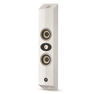 ����� Focal On Wall 301
