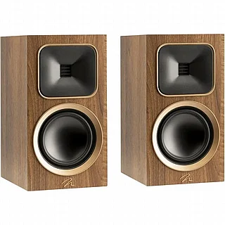 ������� ������ Martin Logan Motion Foundation B1
