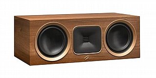 ����� ���� Martin Logan Motion Foundation C1