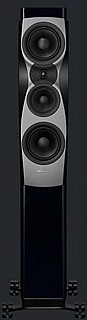 ��� ������� ������� ���  Confidence 30 ���� DYNAUDIO