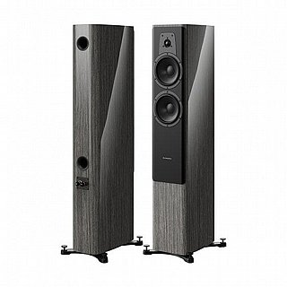 ��� ������� ������� ����� Contour ���� DYNAUDIO