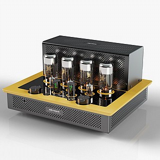 ���� ������ Audio Research I/50