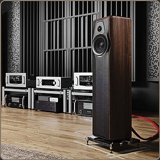 ��� ������� ������� SONUS FABER MAXIMA AMATOR