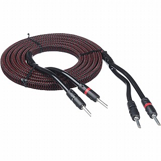 ��� ����� �������� 3 ��� AudioQuest Rocket 33