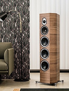��� ������� ������� ���� SONUS FABER SONETTO VIII