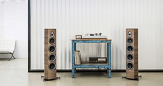 ��� ������� ������� ���� SONUS FABER SONETTO VIII