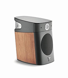 ������� ������  Focal Sopra No.1
