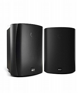 ����� ���� ���� KEF ��� VENTURA6